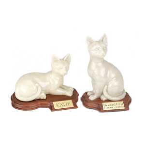 Faithful Feline Image